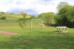 Prunus ‘Hokusaï’ proche de l’Agorespace