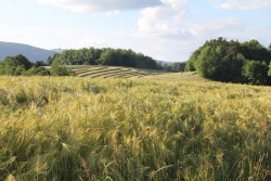 Plateau des Bornes