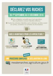 Déclaration de ruches 2016 : Du 1er septembre au 31 décembre 2016