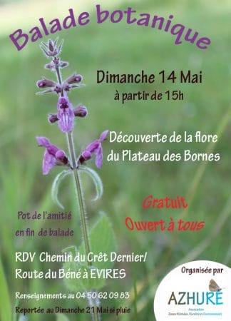 Balade botanique le 14 mai 2017