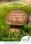 Balade botanique automnale le 24 septembre 2017 à 15h