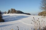 Plateau des Bornes