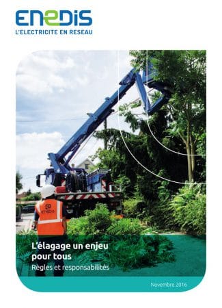 Règles et distances pour la réalisation de l'entretien de la végétation à proximité des lignes électriques