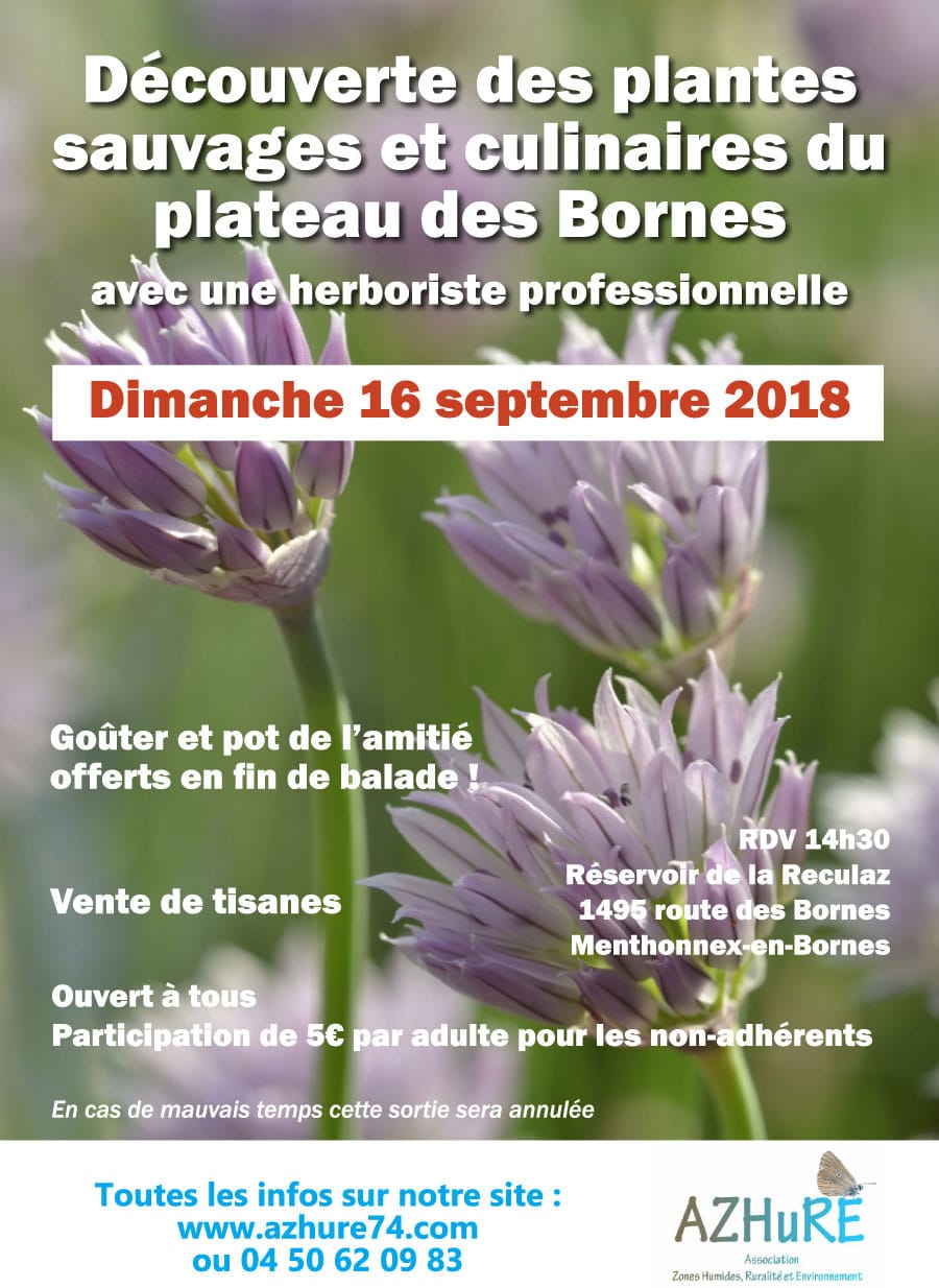 Découverte des plantes sauvages et culinaires le dimanche 16 septembre 2018