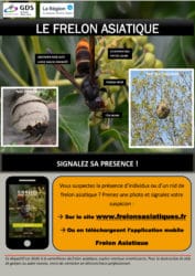 Affiche pour signaler la présence du frelon asiatique