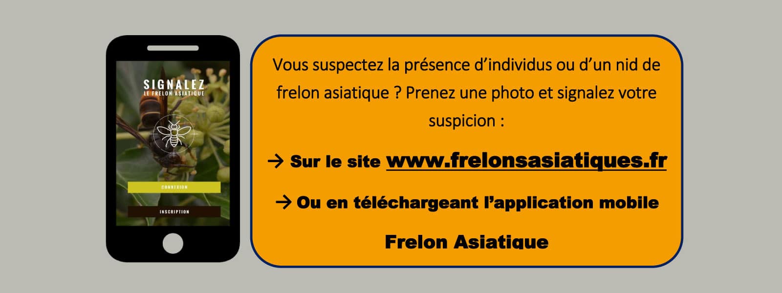 Signaler le frelon asiatique