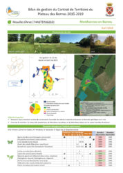 Bilan de gestion du Contrat de Territoire du Plateau des Bornes 2015-2019 (format PDF, 3 MB)