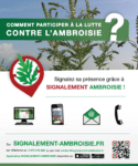 Signalement ambroisie