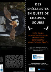 Flyer Enquête Chauve souris