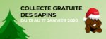 Collecte de sapins de noël du 13 au 17 janvier 2020