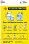 Canicule : conseils