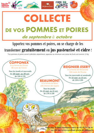 Affiche collecte de vos pommes et poires