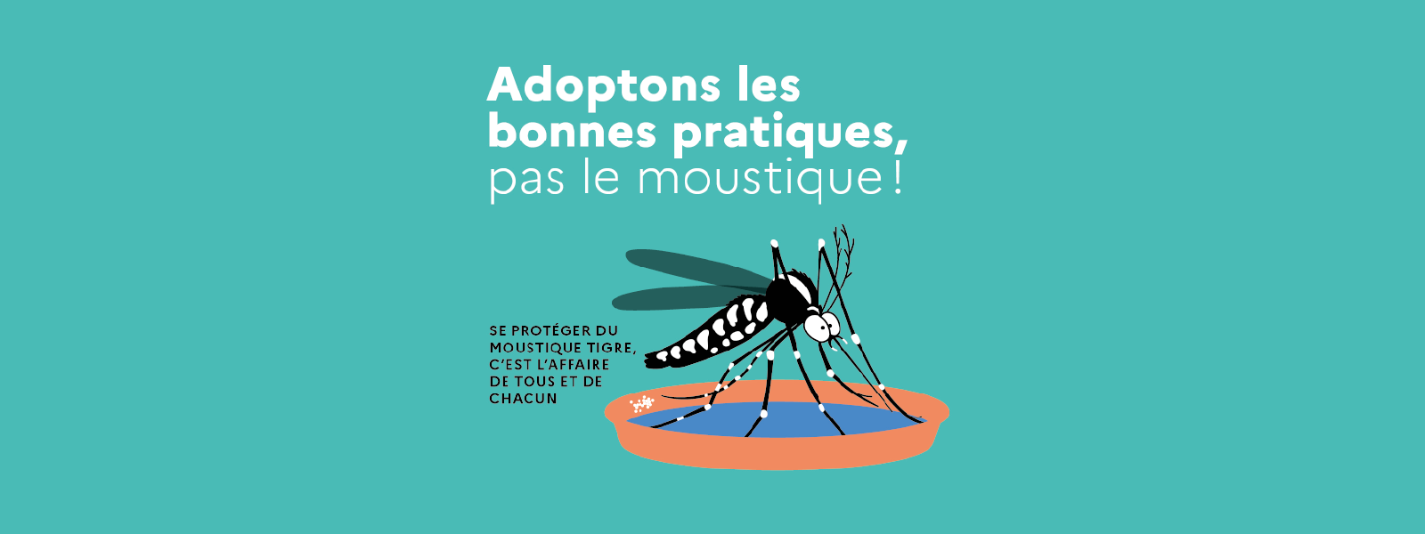 Moustique tigre : agissons ensemble !