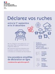 Déclaration de ruches du 1er septembre au 31 décembre 2022