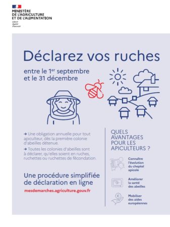 Déclaration de ruches du 1er septembre au 31 décembre 2022