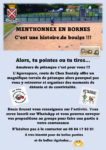 Information pétanque