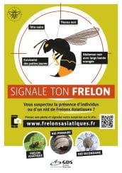 Affiche signale ton frelon