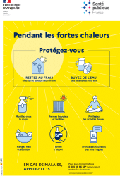 Affiche Les bons réflexes pendant les fortes chaleurs