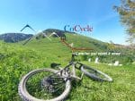cocycle74